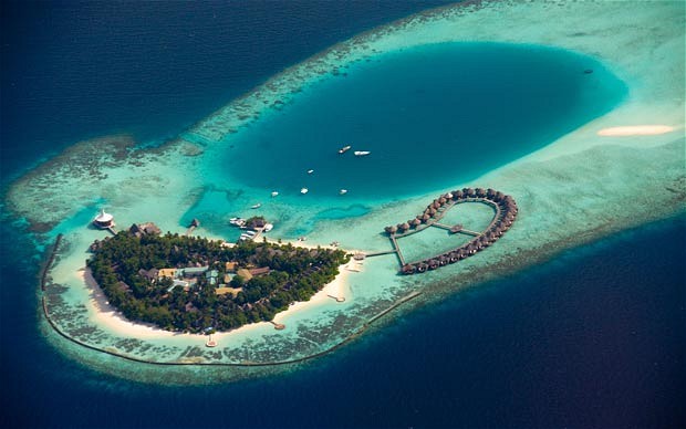 Maldivi #1