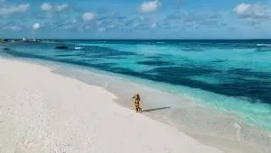 Ari Grand Hotel & Spa