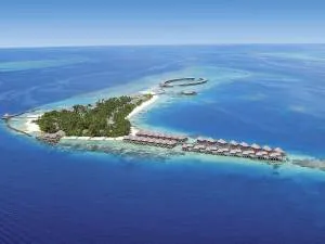 Coco Bodu Hithi